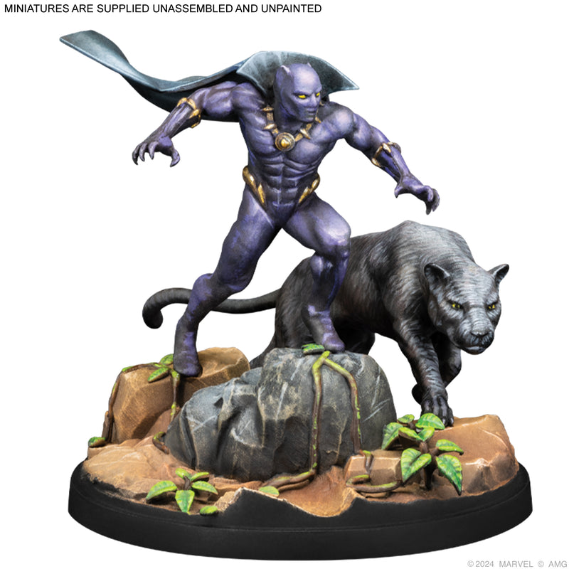 Load image into Gallery viewer, Marvel: Crisis Protocol - Black Panther, Chosen of Bast & Namor, the Sub-Mariner