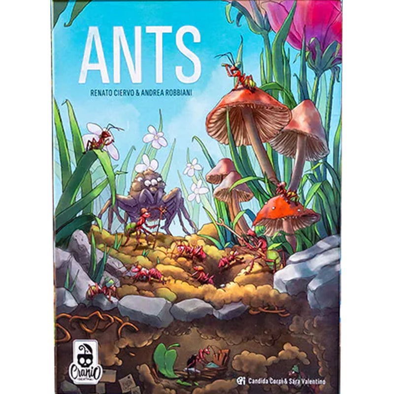 Load image into Gallery viewer, Ants Board Game - Front of box with illustration of ants colony. 
