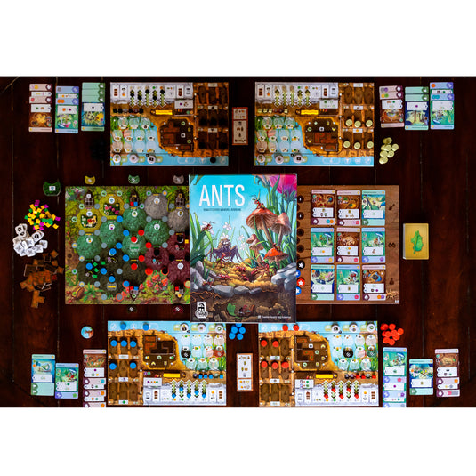 Ants Board Game - Box and game components displayed including game board, player boards, and tokens. 