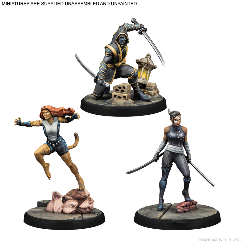 Load image into Gallery viewer, Marvel: Crisis Protocol - Echo, Ronin &amp; Tigra
