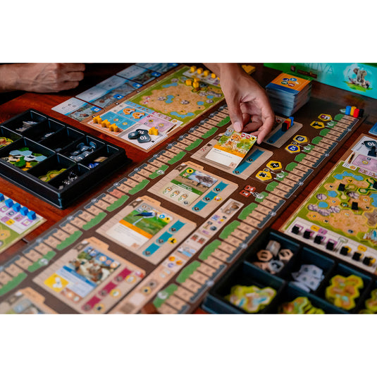 Ark Nova Board Game - setup game shown on coffee table including game cards, player bards, game tokens, and storage trays.
