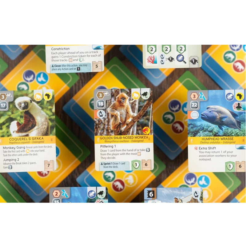 Load image into Gallery viewer, Ark Nova: Marine Worlds - sample cards shown with different animals and continent icons. 
