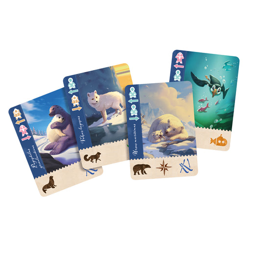 Borealis: Arctic Expeditions