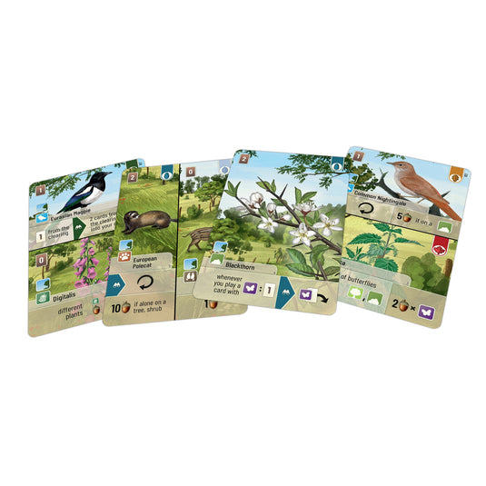 Forest Shuffle: Woodland Edge Card Game Expansion Asmodee USA Forest Shuffle: Woodland Edge Card Game Expansion Asmodee USA