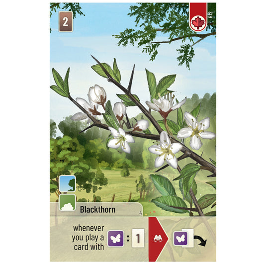 Forest Shuffle: Woodland Edge Card Game Expansion Asmodee USA Forest Shuffle: Woodland Edge Card Game Expansion Asmodee USA