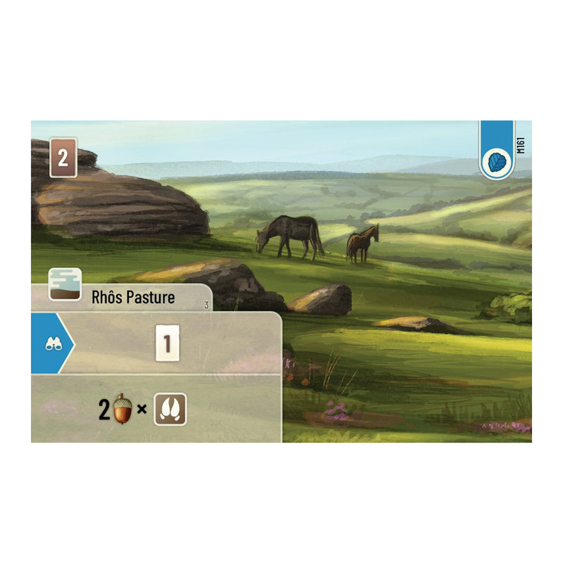 Load image into Gallery viewer, Forest Shuffle: Dartmoor
