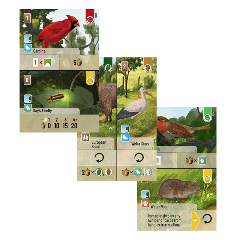 Load image into Gallery viewer, Forest Shuffle: Exploration Expansion - view of sample cards each featuring different animals or insects with different leaf icons and point values.
