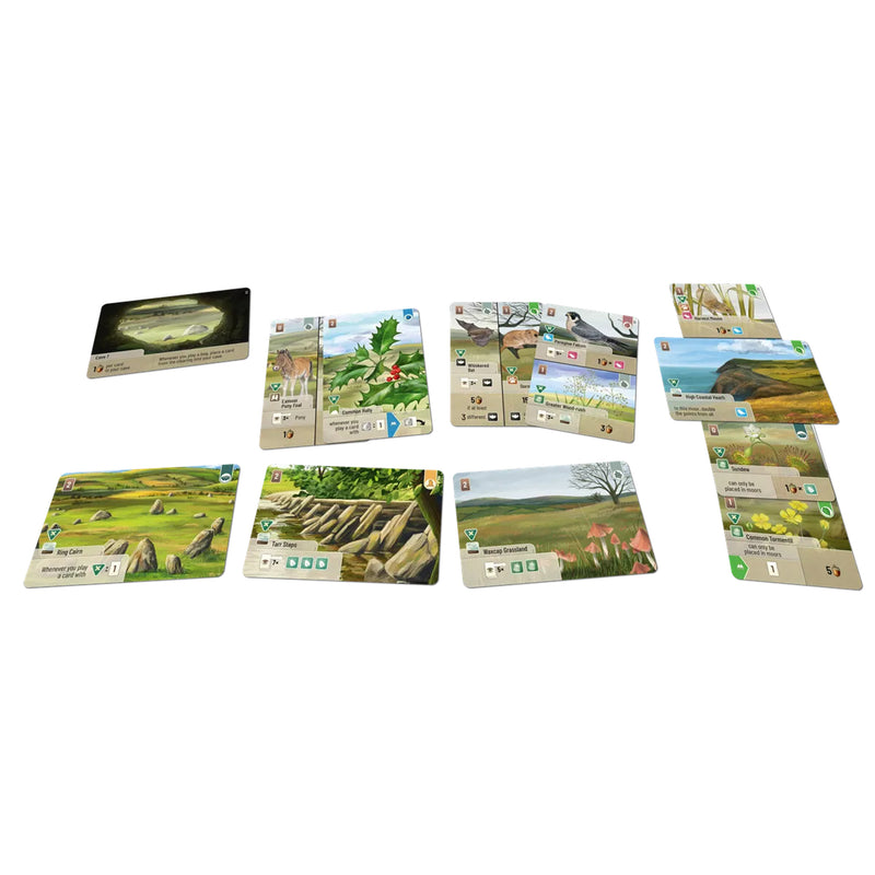 Load image into Gallery viewer, Forest Shuffle Dartmoor - Exmoor Expansion - sample game components shown including habitat and plant cards. 

