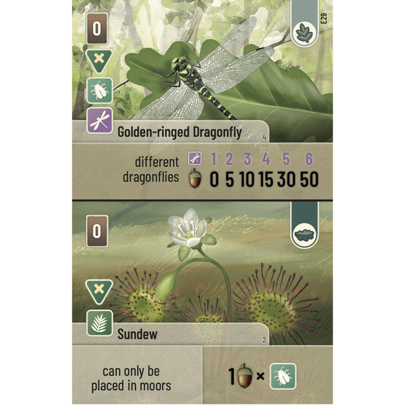 Load image into Gallery viewer, Forest Shuffle Dartmoor - Exmoor Expansion - Sample Sundew and Dragonfly cards shown.

