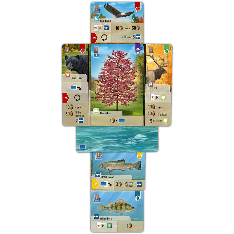 Load image into Gallery viewer, Forest Shuffle Smoky Mountains - Sample tree and animal cards shown including fish cards, bear cards, and elk card. 
