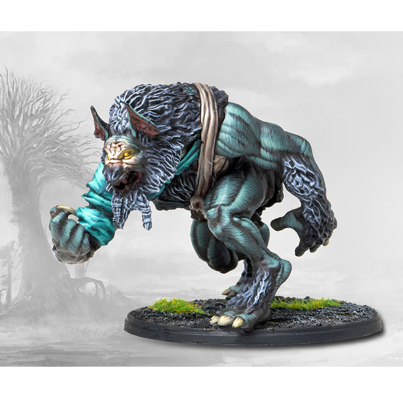 Load image into Gallery viewer, Nords: Werewargs
