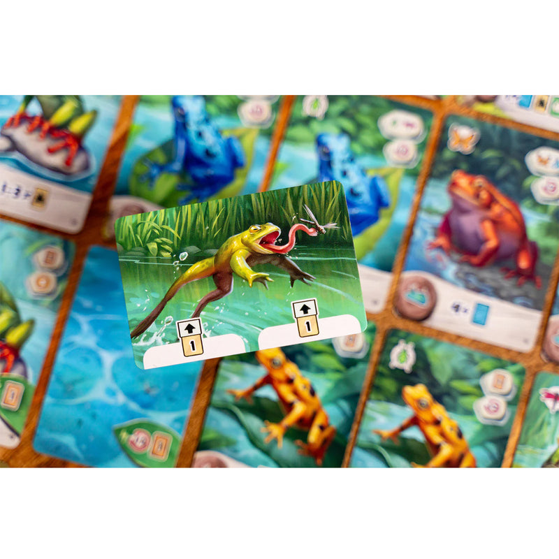 Load image into Gallery viewer, Pondscape Card Game - sample cards displayed, each card features art of different frogs.

