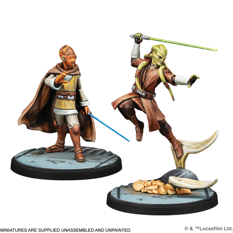 Load image into Gallery viewer, Star Wars: Shatterpoint – Requesting Your Surrender Squad Pack
